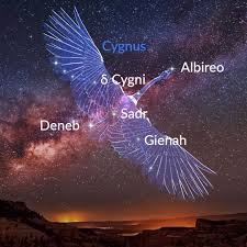 Attēlu rezultāti vaicājumam “Cygnus”