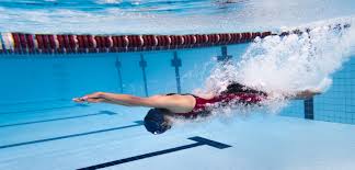 Image result for Mid Beds Swim Squad