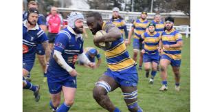 Image result for Hemel Hempstead Rugby League Football Club