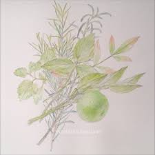 「望月麻里（マリ）」の画像検索結果