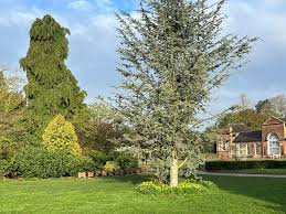 Image result for Belper Harriers