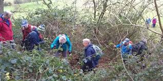 Image result for Toddington Tennis Club