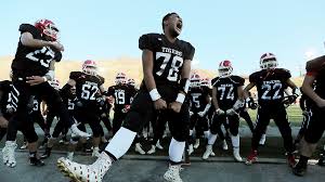 Image result for Milford Pumas Football Club