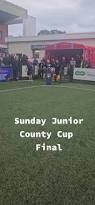 Image result for Oxted & District Junior Fc