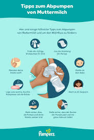 Image result for brust pumpe