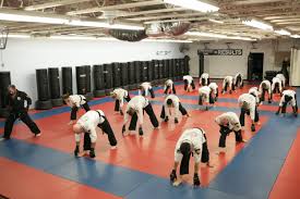 Image result for Sudbury Hapkido Club