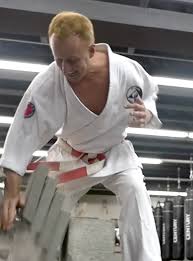 Image result for Everitt Karate Academy