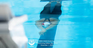 Image result for Swansea Finswimming Club