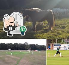 Image result for Roe Green Cricket Club