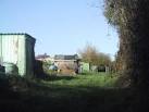 Allotments in St Thomas - via Daymix