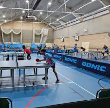 Image result for Dml Woolwell Table Tennis Club