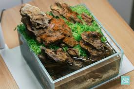 Attēlu rezultāti vaicājumam “Elatine hydropiper leaf”