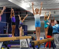 Image result for Focus Institute of Gymnastics