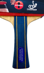 Image result for Generation 2 Table Tennis Club