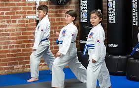 Image result for Freedom Martial Arts