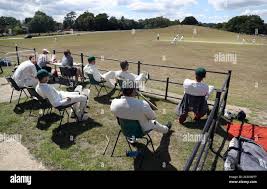 Image result for Lyndhurst Cricket Club