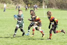 Image result for Farnborough Rfc Minis & Juniors