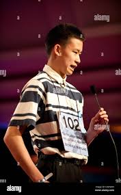 Image result for Lansongammon