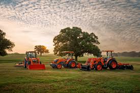 Image result for seppi tehron