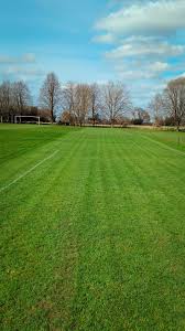 Image result for Woodmansterne Sports Fc