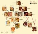 The Family Tree