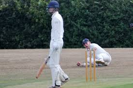 Image result for Ivybridge Cricket Club