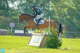 Image result for Jp-Sheffield Eventing