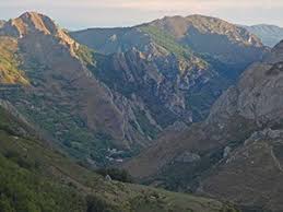 Attēlu rezultāti vaicājumam “Clossiana selene upperside”