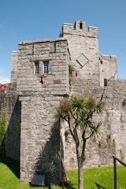 Image result for Castle Rushen Divers