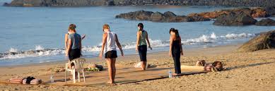 Image result for patnem beach