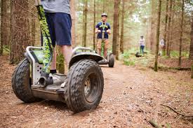 Image result for The Go Ape Experience (Swinley Forest)