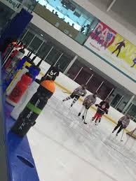 Image result for Cardiff Comets Ladies Ice Hockey