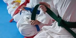 Image result for COURT FIELDS karate Academy