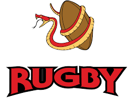 Image result for Vipers Rugby Football Club