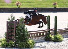 Image result for Shey Copse Riding Centre