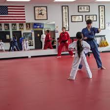 Image result for North Wilts Taekwondo