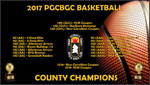 Image result for Arrows Basketball Club