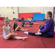 Image result for Wolverhampton Gymnastics Club