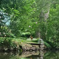 Image result for Frome Canoe Club