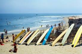 Image result for Scarborough Malibu Surf Club