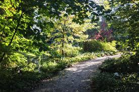 Image result for Arboretum Trompenburg