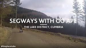 Image result for Go Ape! Whinlatter