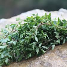 Image result for Oregano