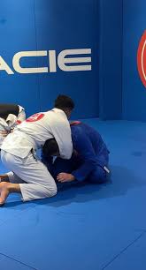 Image result for British Jiu-Jitsu School