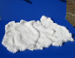 Image result for white rabbit skin texture