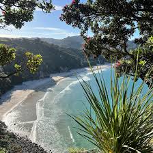 Image result for new chums beach