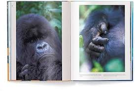 Attēlu rezultāti vaicājumam “Diderma montanum var. album macro”