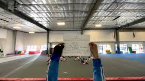 Image result for flip and twist