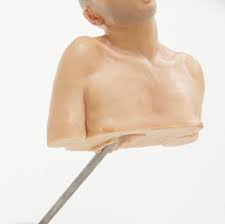 Image result for Richard Stipl