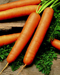 Image result for Möhren